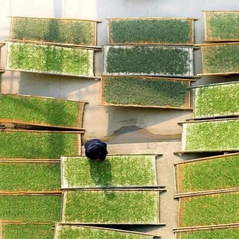 福建福鼎明天天气怎么样