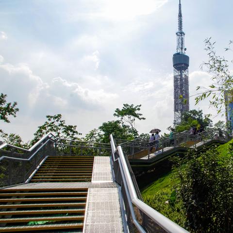 广州市做什么好