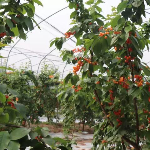 成都市东区新房价格表的长尾关键词有哪些