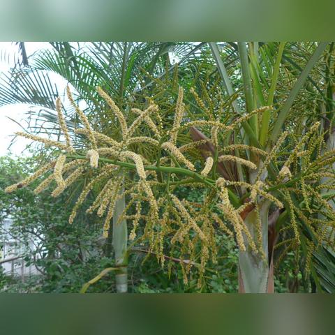 足球比赛草地标准的长尾关键词有什么