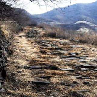 官道弯弯 txt下载的长尾关键词有什么