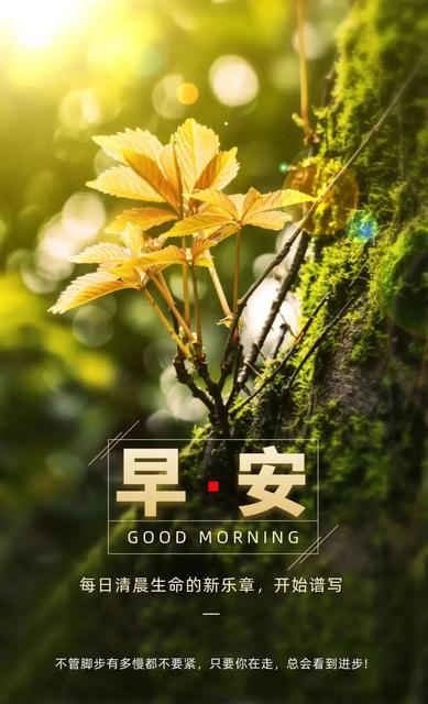 2021年早安心语正能量语录