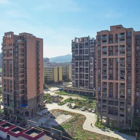 广东省佛山市怎么停社保的长尾关键词有哪些