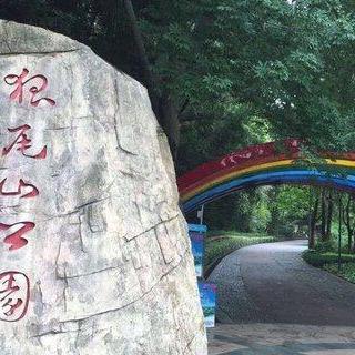 厦门风景特点？