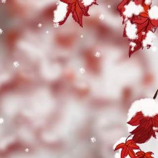 武汉大雪节气的长尾关键词有什么
