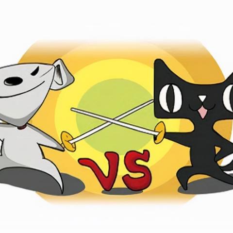 抖音可以seo竞价吗