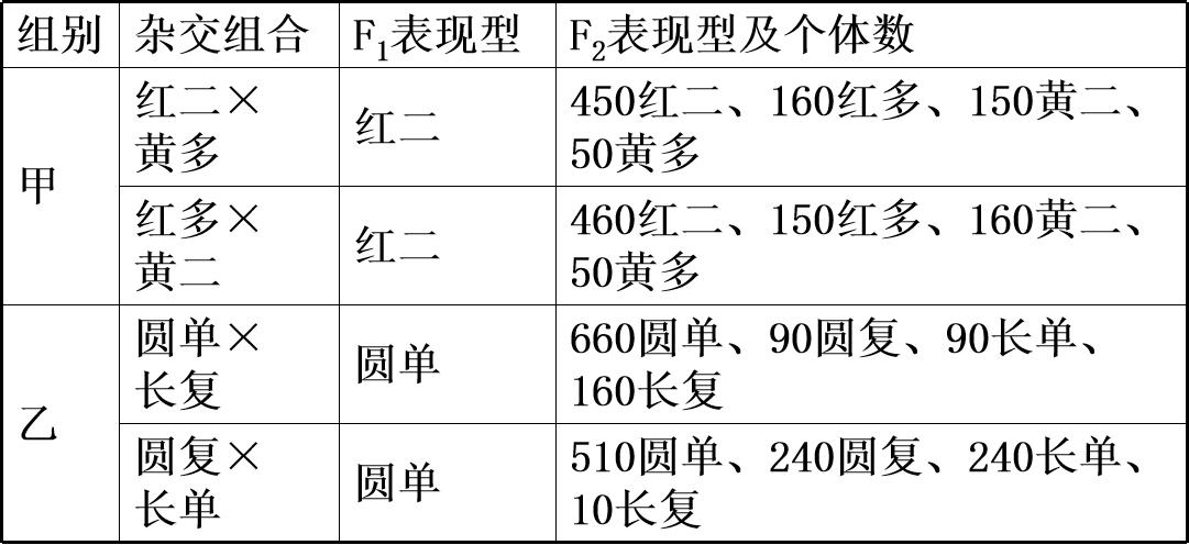 盆栽结圆形红果植物图片,农村常见的石楠树有什么作用?"