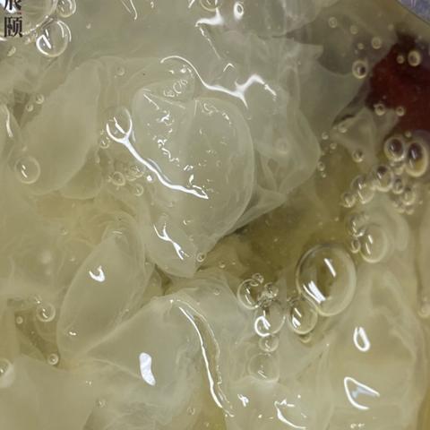 福建防水瓷砖胶怎么样