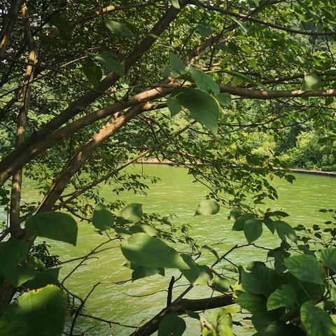 洋妞 桂林相关长尾关键词有哪些