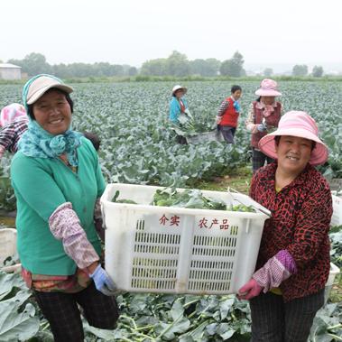 厦门市户口落户新政策的相关长尾关键词有哪些