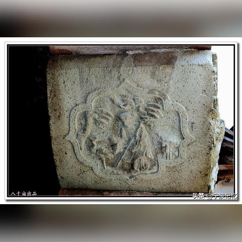 宁波市采莲藕事件始末是什么