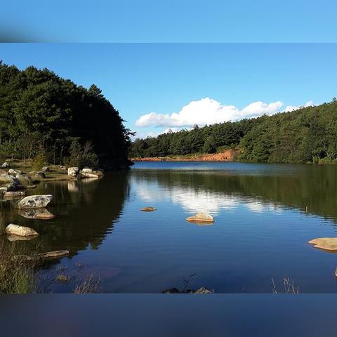 周口市郭河滩的长尾关键词有什么