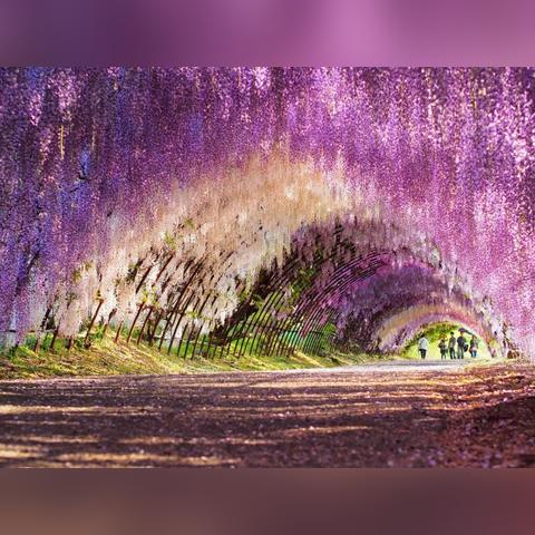 重庆景点渐变卡的长尾关键词有什么