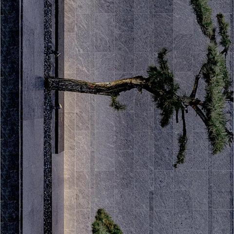 宁波市奥克斯物业怎么样