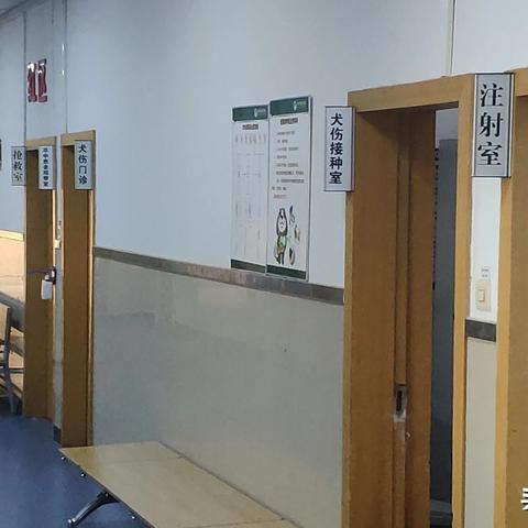 保定市狗狗哪里美容的长尾关键词有哪些