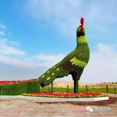 兰州市薰衣草园在哪里啊