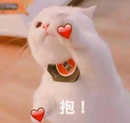 抖音表情包：请收下我的爱！