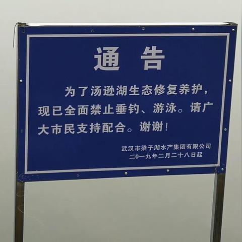 汤逊湖免费钓鱼地点？