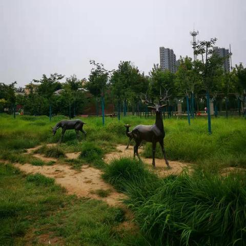 石家庄市西兆通是哪个区
