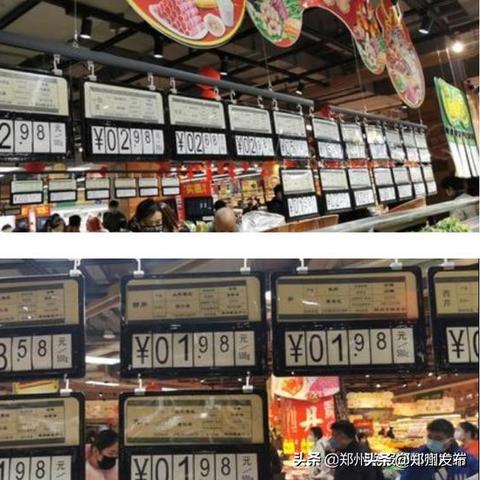 【河南今日菜价】2025年6月7日河南菜价是多少