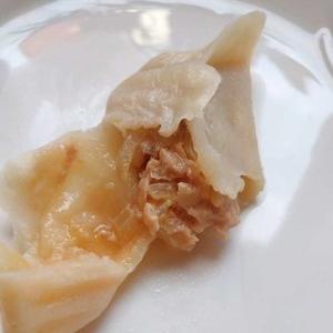 猪肉灌汤包的做法？