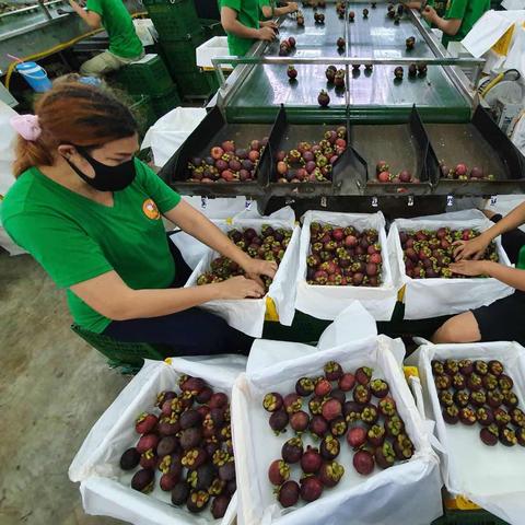 跨境直转多久可以到账