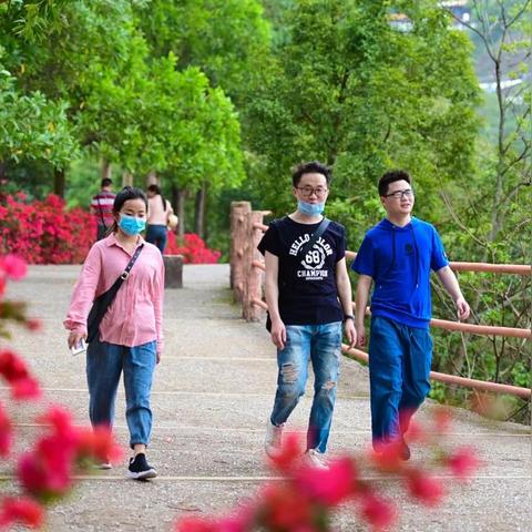 2025.11.22东莞今天空气质量指数怎么样