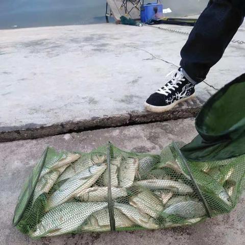 如何识别钓鱼网站的长尾关键词有什么