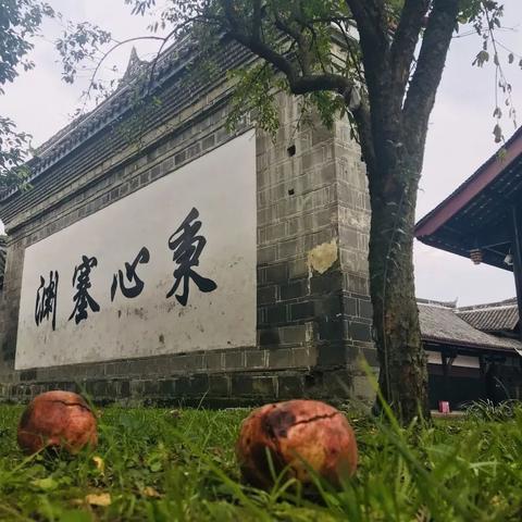 成都市旅游年卡怎么办