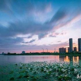 武汉市武湖湖泊的面积？