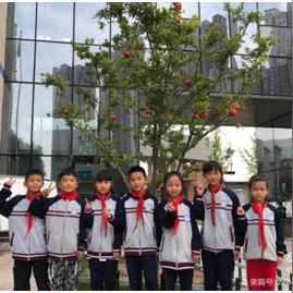 吉杰小学怎么样？