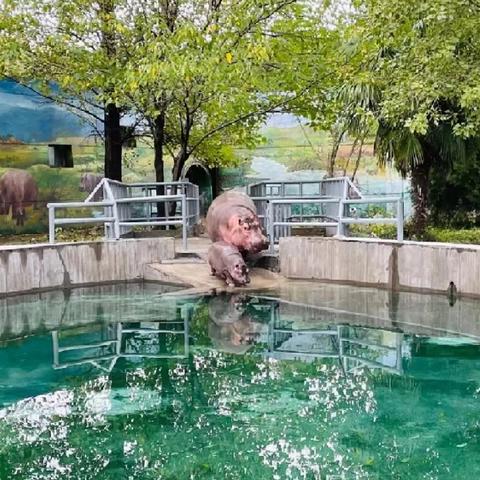 2025.12.27西安最新天气预报查询