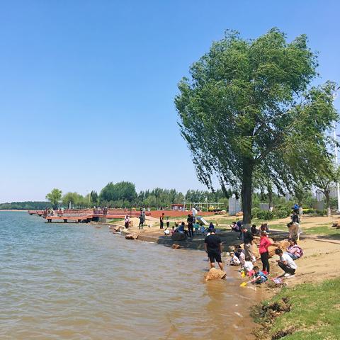 沈阳市是哪个城市