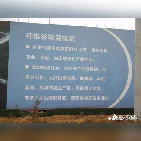 武汉有几个深水港？