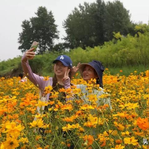 河南光山种什么花好啊