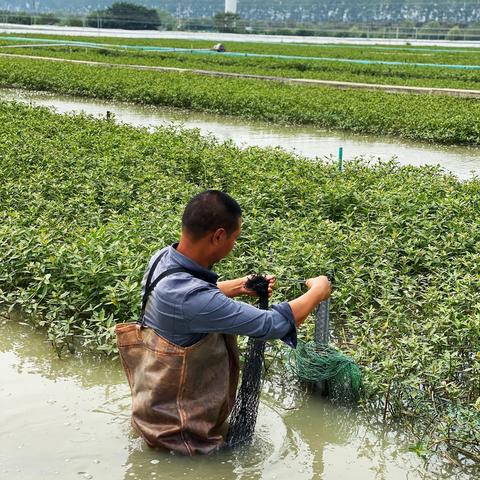 杭州阳澄湖大闸蟹的相关长尾关键词有哪些