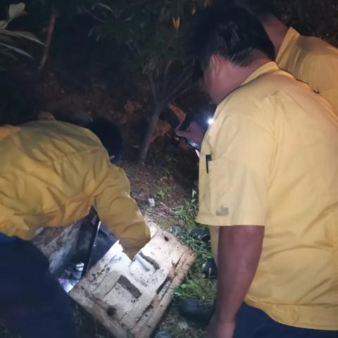 合肥燃气费充值相关长尾关键词有哪些