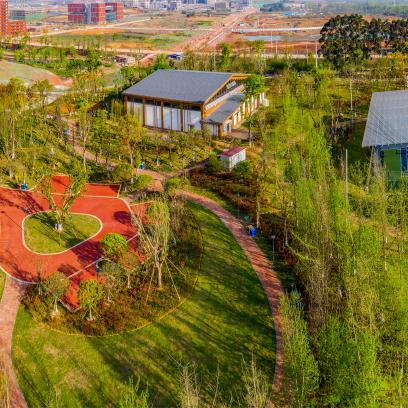 2025.12.8成都今日最新新闻有哪些