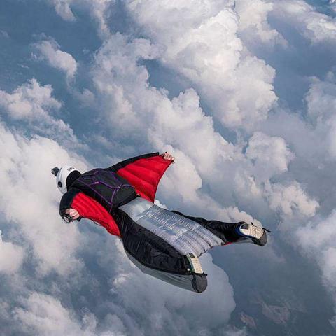 关于鲨鱼的电影有哪些