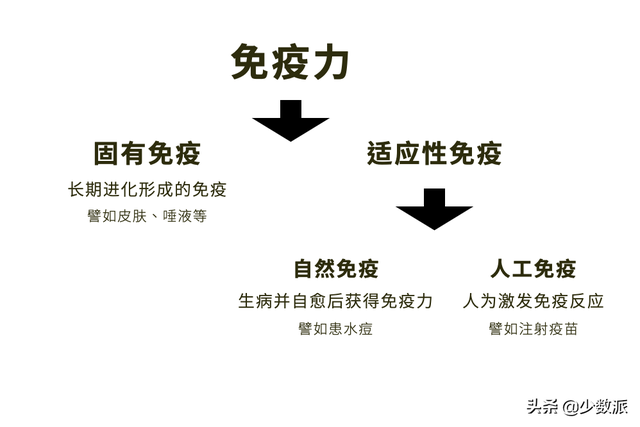 打新冠疫苗可以终身免疫吗