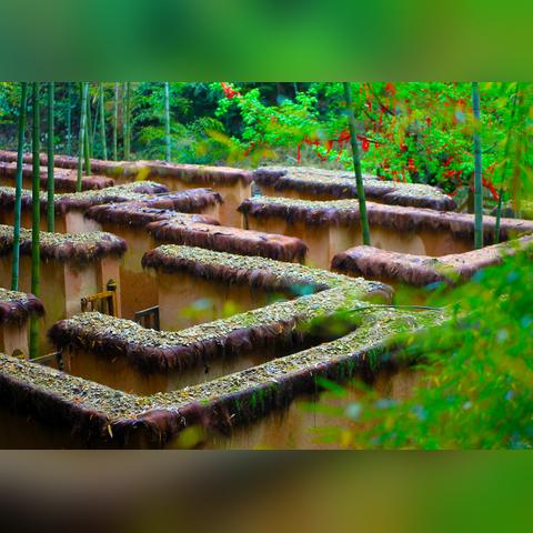 浙江省的气候有什么特征