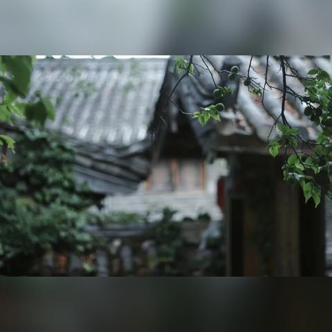 旋登是什么意思
