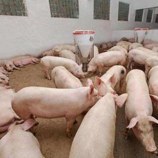 重庆房价降幅是多少的长尾关键词有什么