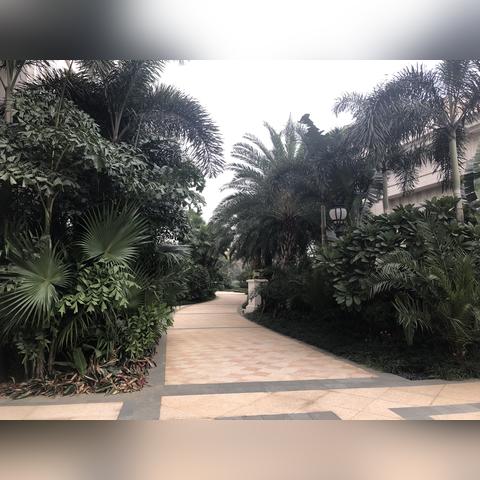 南宁地暖地冷的相关长尾关键词有哪些