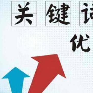 seo优化有必要弄吗