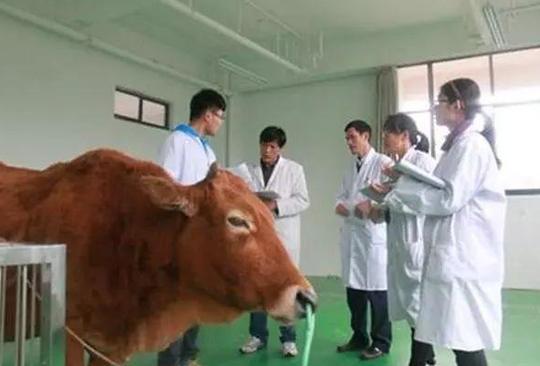 冷门专业有多冷？大学没读完专业没了，一不小心成了“绝版人才”