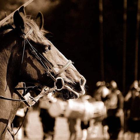气候对我们有什么影响