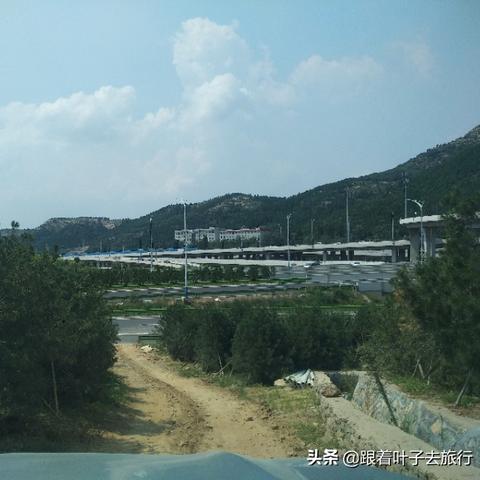 济南市哪里可以种树苗
