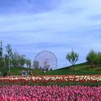 沈阳市市民码怎么申请