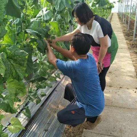 临沂市商标包装设计的长尾关键词有哪些